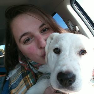 Meet your Posher, Robin